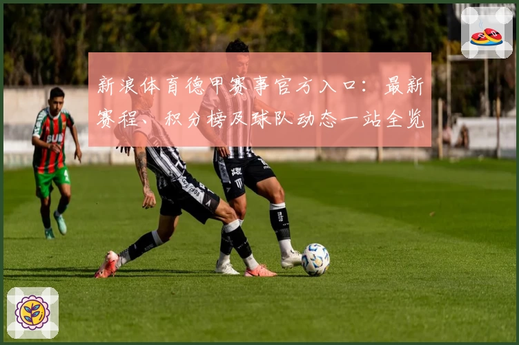 新浪体育德甲赛事官方入口：最新赛程、积分榜及球队动态一站全览