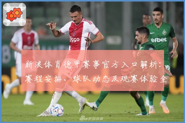 新浪体育德甲赛事官方入口解析：赛程安排、球队动态及观赛体验全揭秘