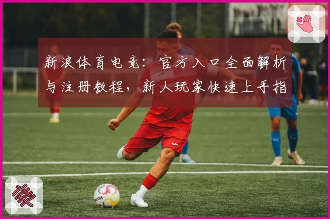 新浪体育电竞：官方入口全面解析与注册教程，新人玩家快速上手指南