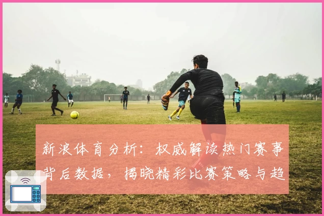 新浪体育分析:权威解读热门赛事背后数据,揭晓精彩比赛策略与趋势