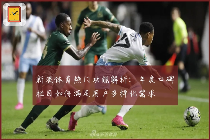 新浪体育热门功能解析：年度口碑栏目如何满足用户多样化需求