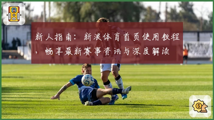 新人指南：新浪体育首页使用教程，畅享最新赛事资讯与深度解读