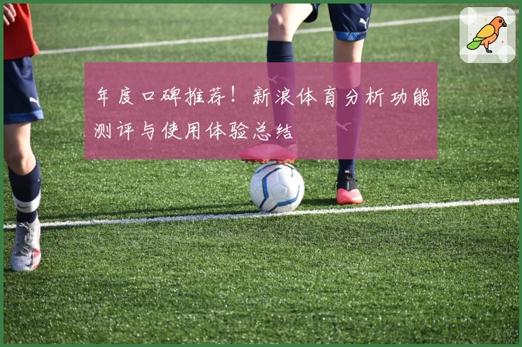 年度口碑推荐!新浪体育分析功能测评与使用体验总结