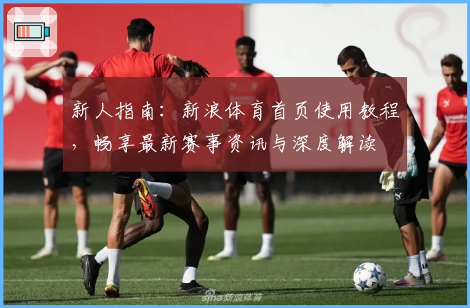 新人指南：新浪体育首页使用教程，畅享最新赛事资讯与深度解读