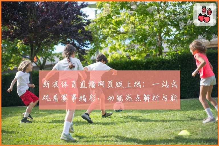 新浪体育直播网页版上线:一站式观看赛事精彩,功能亮点解析与新手使用指南